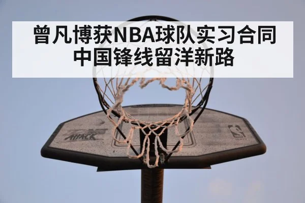 NBA court practice