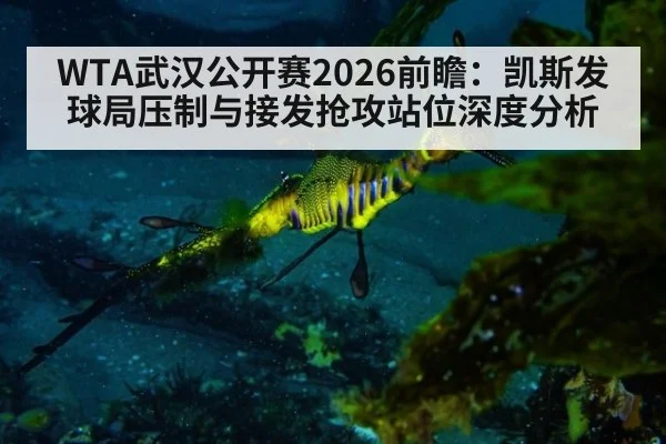 WTA武汉公开赛2026前瞻：凯斯发球局压制与接发抢攻站位深度分析
